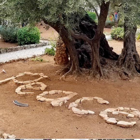 Meet your Posher, Lisa - Picture 1 of 1